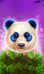 Luck of Panda: Bonus Combo